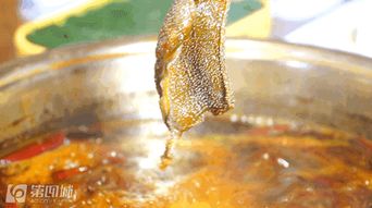 熊猫已就位，下班约个单纯火锅？