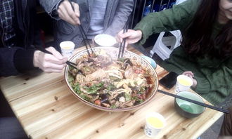 蓉树下火锅冒菜 视觉与味觉的双重盛宴