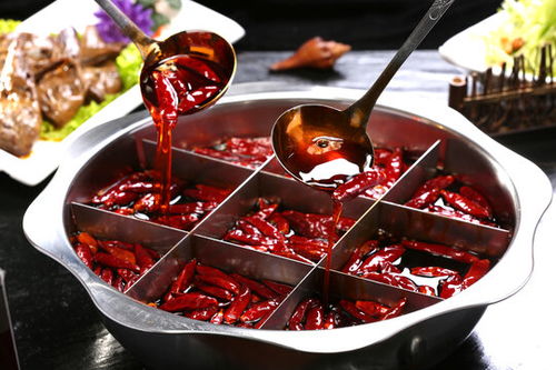燃情九宫格 重庆老火锅的味觉与视觉盛宴